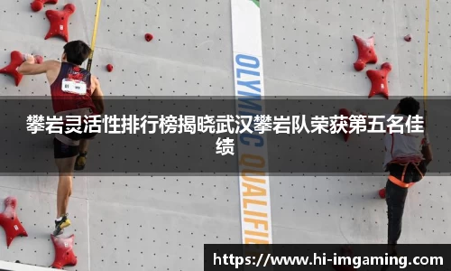 IM电竞官方网站